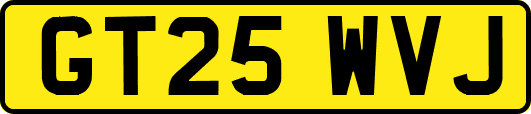 GT25WVJ