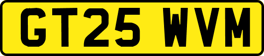 GT25WVM