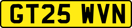 GT25WVN