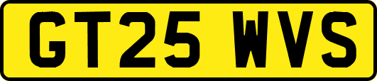 GT25WVS