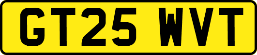 GT25WVT