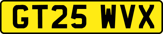 GT25WVX