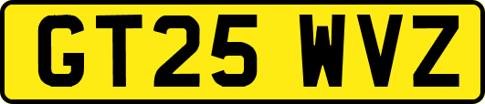 GT25WVZ
