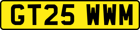 GT25WWM