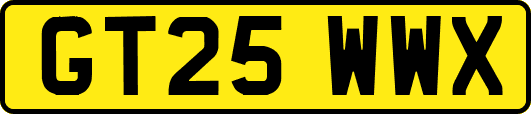 GT25WWX
