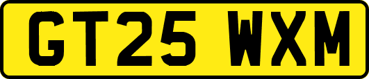GT25WXM