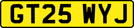 GT25WYJ