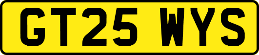 GT25WYS