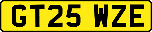 GT25WZE