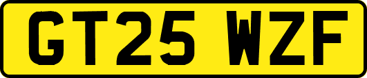 GT25WZF