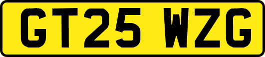 GT25WZG