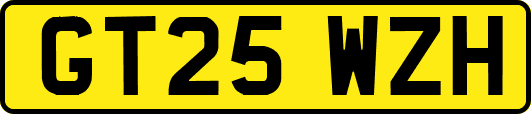 GT25WZH