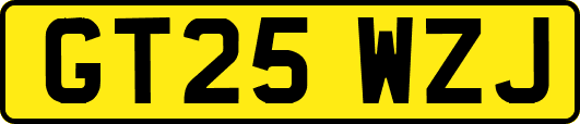 GT25WZJ