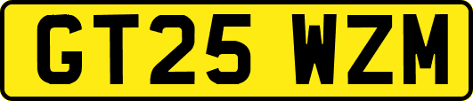 GT25WZM