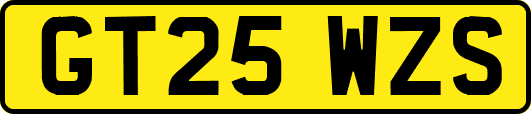 GT25WZS