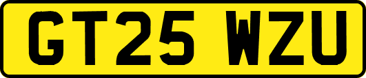 GT25WZU