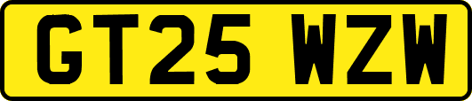 GT25WZW
