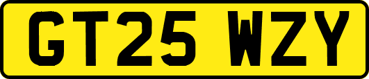 GT25WZY