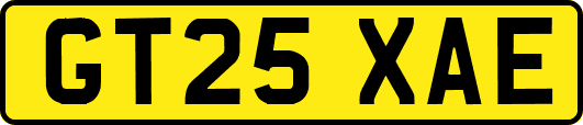 GT25XAE