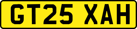 GT25XAH