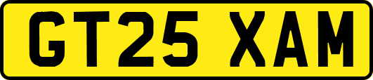 GT25XAM