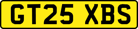 GT25XBS