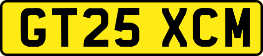 GT25XCM