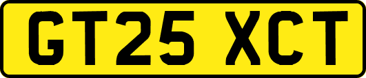 GT25XCT