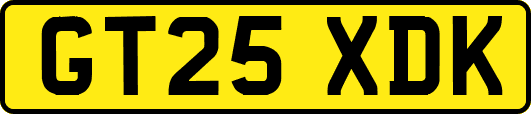 GT25XDK
