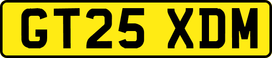 GT25XDM