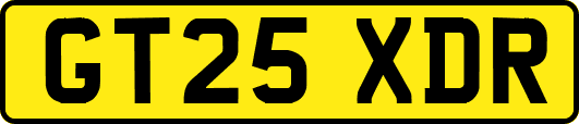 GT25XDR