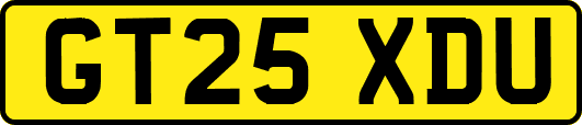 GT25XDU