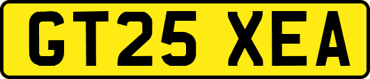 GT25XEA