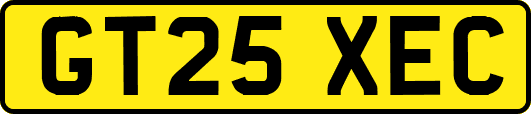 GT25XEC