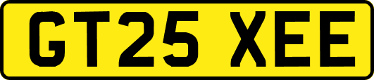 GT25XEE