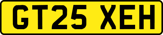 GT25XEH