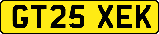 GT25XEK