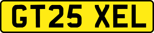 GT25XEL