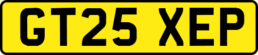 GT25XEP