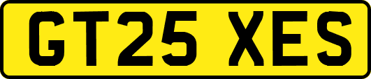 GT25XES