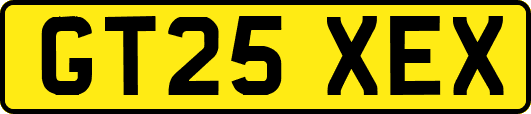 GT25XEX