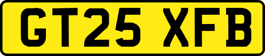 GT25XFB