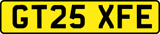 GT25XFE