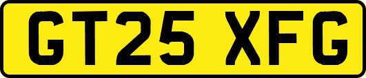 GT25XFG
