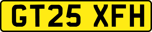GT25XFH