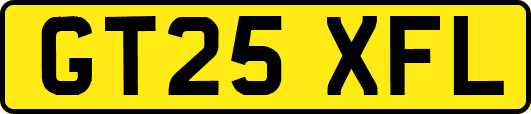 GT25XFL