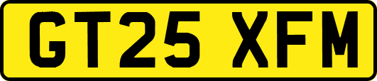 GT25XFM