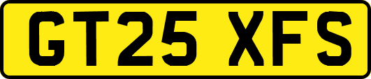 GT25XFS