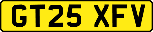 GT25XFV