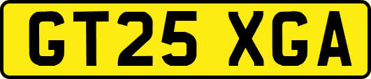 GT25XGA